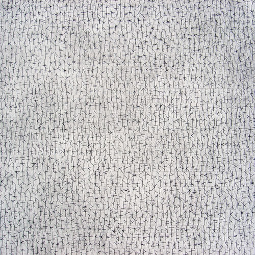 Image1detailview
