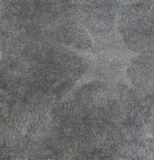 Image1detailview