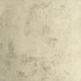 Image1detail