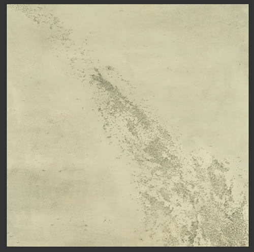 Image1detailview